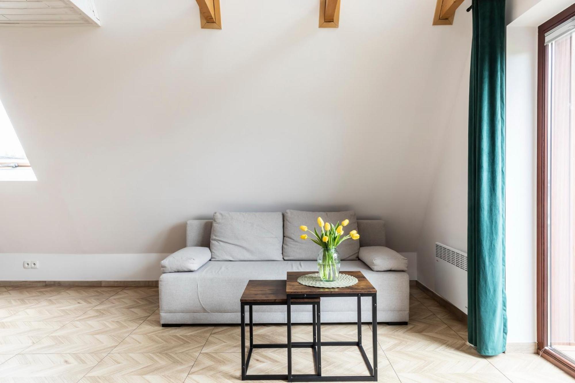 Udanypobyt Apartamenty Przy Dolinach C I D Косцелиско Экстерьер фото